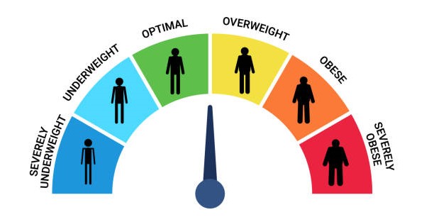 BMI Calculator